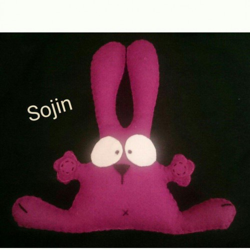 کانال نمدانه سوژین