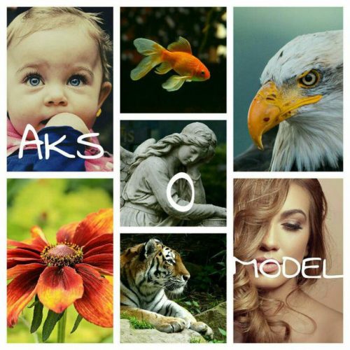 کانال تلگرام عکس و مدل