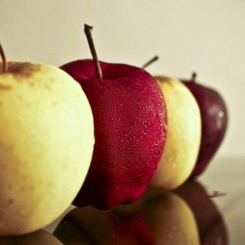 کانال ریزه میزه