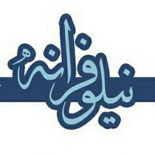 کانال تلگرام «پوشاک نیلوفرانه»
