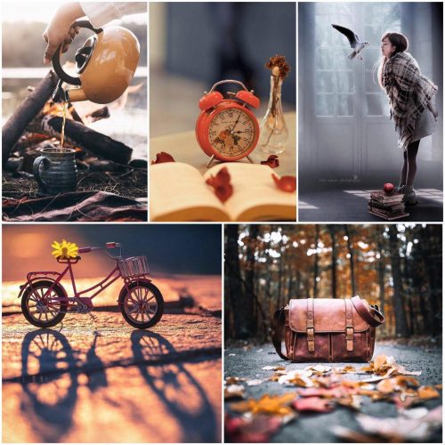 کانال تلگرام Toppicture