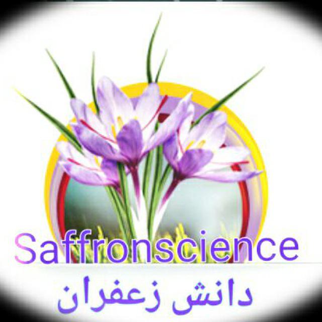 کانال تلگرام دانش زعفران