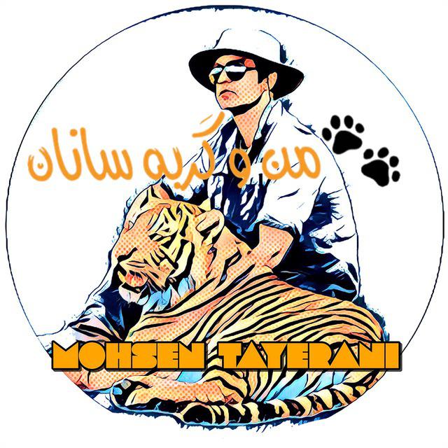 کانال تلگرام من و گربه سانان