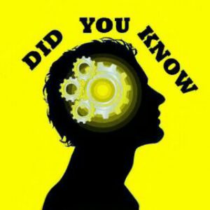 کانال دانستنی ها