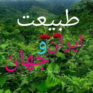 کانال طبیعت ایران و جهان