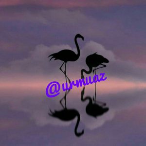 کانال اخبارآنلاین