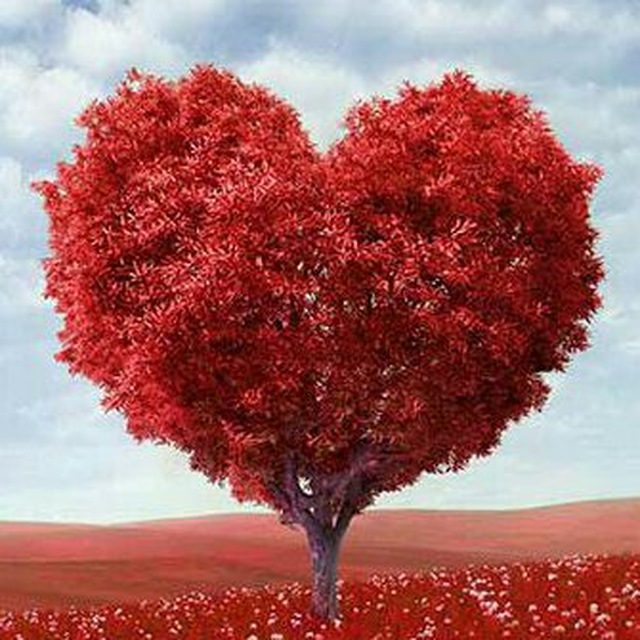 کانال تلگرام ❣ آدم و حــــوا ❣