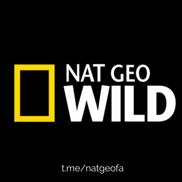 کانال تلگرام نشنال جئوگرافیک| Nat Geo