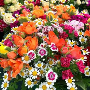 کانال روانشناسی مرجع زندگی