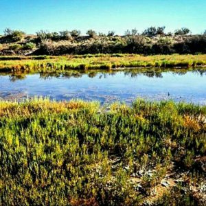 کانال طبیعت ایران