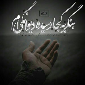 عکس پروفایل بنگر به کجا رسیده دیوانگی