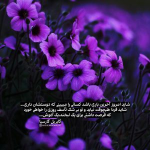 عکس نوشته جالب شاید امروز آخرین باری باشد
کسانی