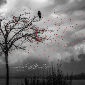 عکس پروفایل عاشقانه سرنوشت عشق گاهی سکوت است