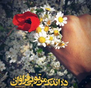 پروفایل خاص در اندك من تويي فراوان
