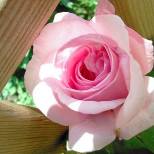 کانال ربات اذان و نماز اول وقت