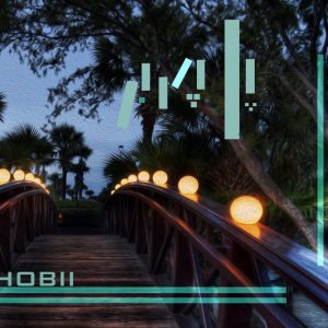 کانال 💎پُـــل چــــوبـي💎