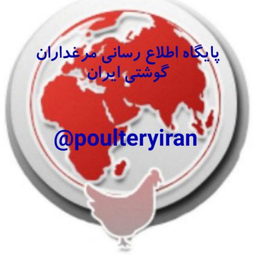 کانال پایگاه اطلاع رسانی مرغداران گوشتی ایران
