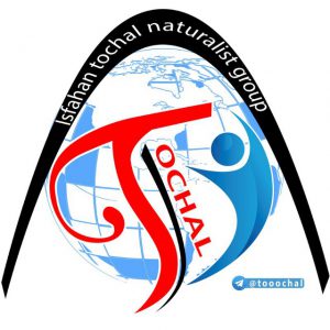 کانال توچال اصفهان