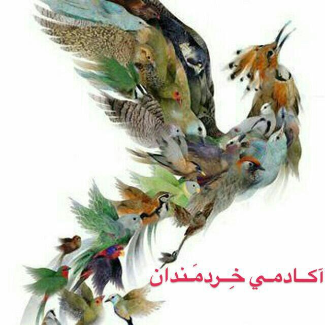 کانال تلگرام آکـــادمـے خـــِــرَدمندان