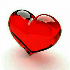 کانال شادونه