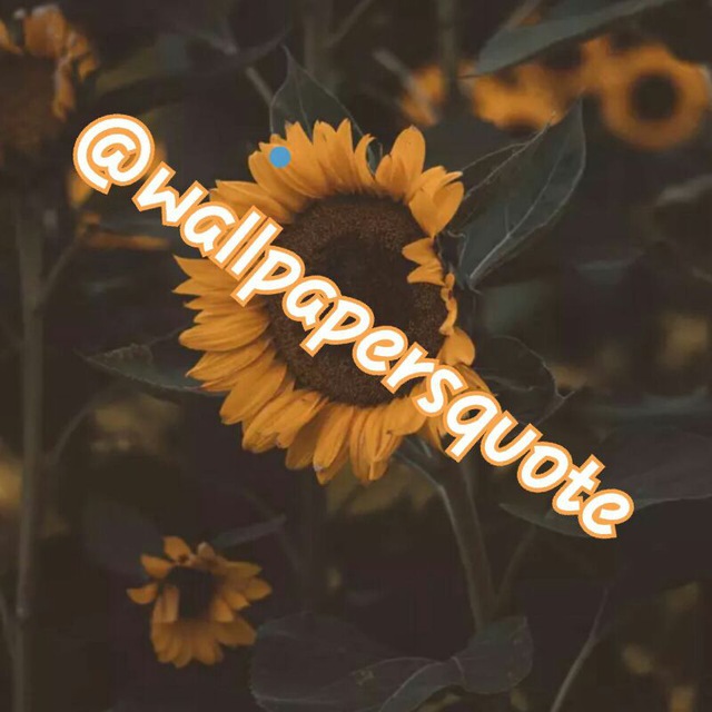 کانال تلگرام 🔥Wallpapers&Quote🔥