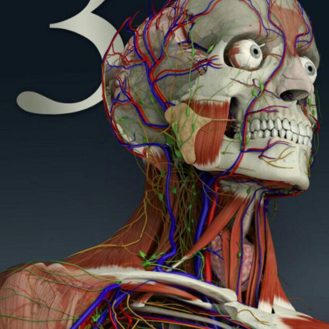 کانال تلگرام Anatomy