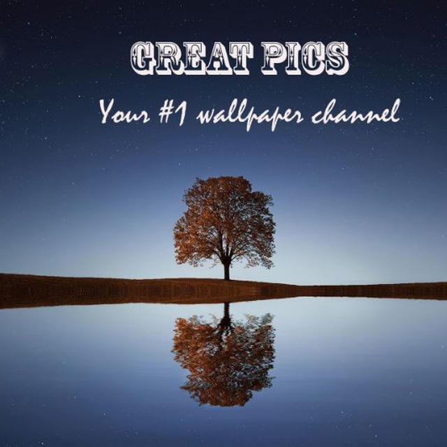 کانال تلگرام Great pics