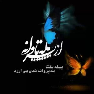 کانال تلگرام از پیله تا پروانه