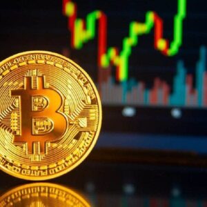 کانال آموزش