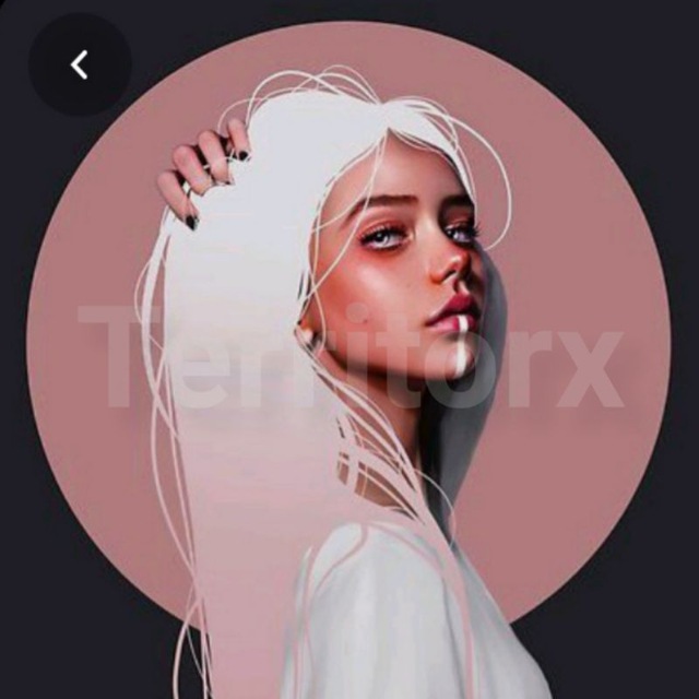 کانال Territorxgroup