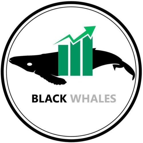 کانال Black whales