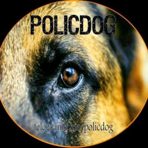 کانال آموزش سگ های پلیس و گارد