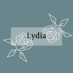 کانال فروشگاه آنلاین لیدیا | Lydia