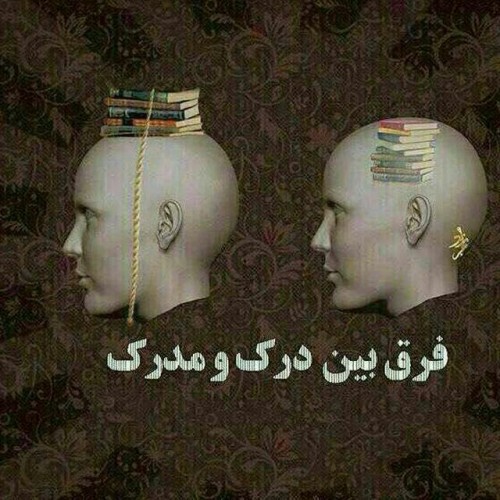 کانال امپراطور بازاریابی