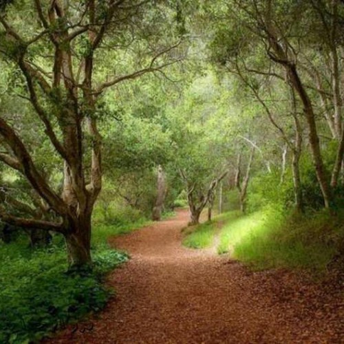 کانال حرف حساب 2